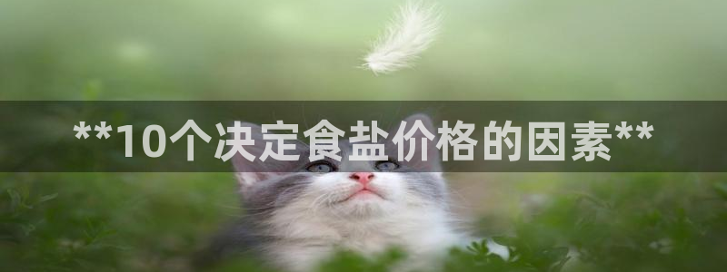 78mapp威九国际媒体