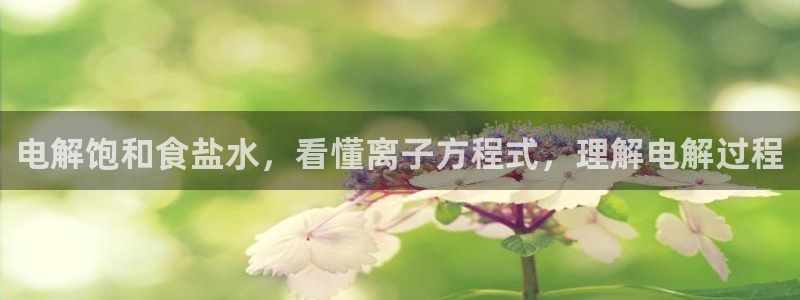 威九国际网站入口官网首页登录