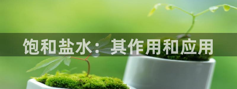 威九国际官网登录入口网址