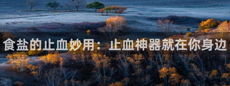 威九国际官方网站最新版本更新内容介绍