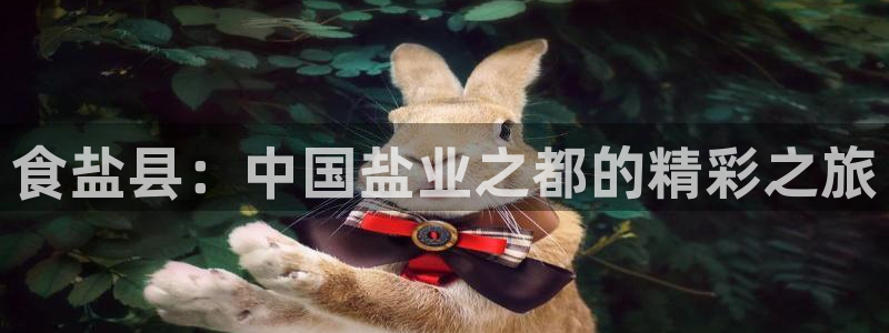 威九国际网站进入客服中心了吗