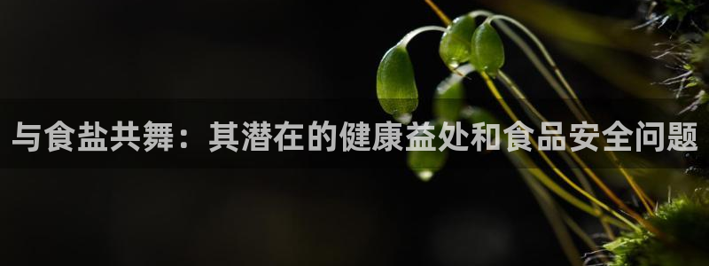 威九国际动漫