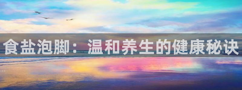威九国际旗下艺人