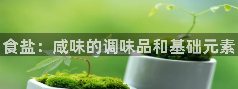 66m威九国际成长模式