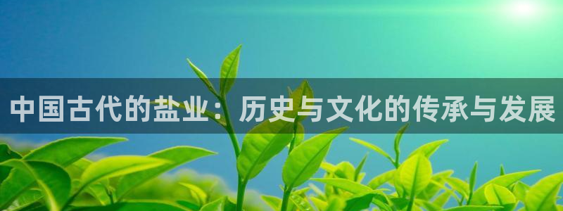 威九国际网站经常打不开网页
