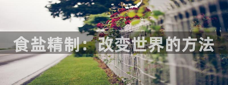威九国际演员名单