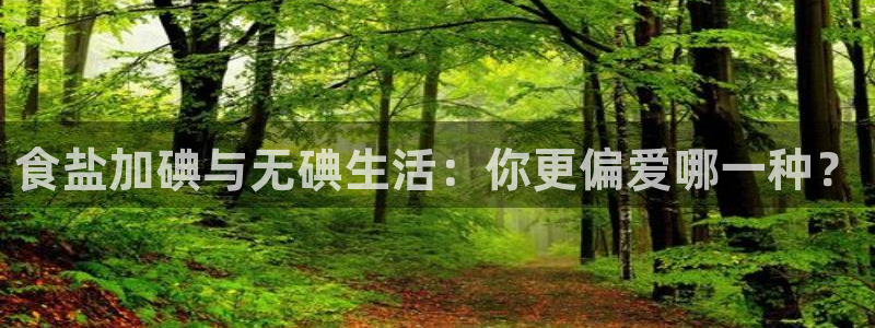 威九国际v96BET