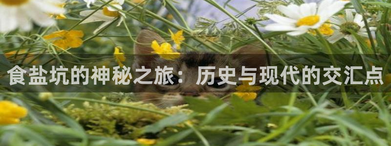 威九国际入囗