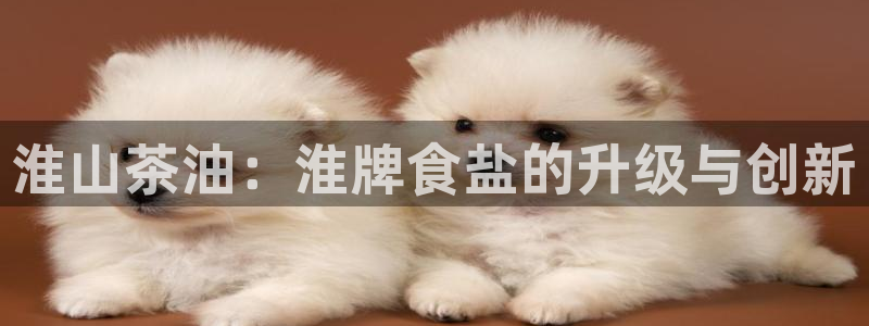 66m威九国际成长模式