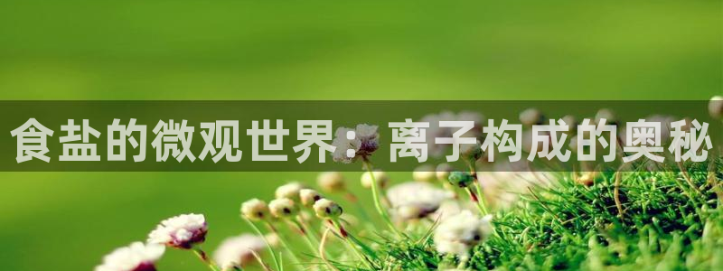 威九国际热舞