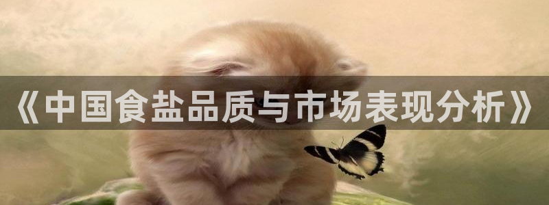 威九国际地址