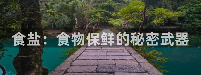 威九国际官网登录入口网站