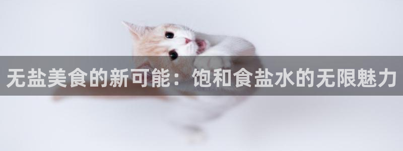 威九国际网站客服电话多少号