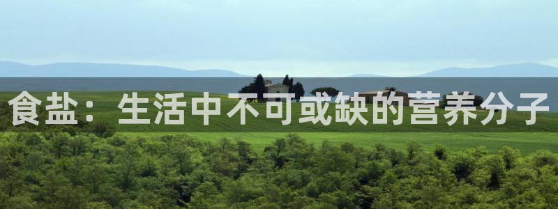 威九国际网站登录