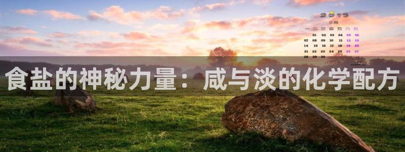 威九国际网站入口官网首页登录