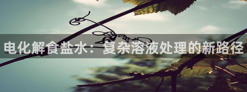 威九国际网站进入(中国)有限公司-官网