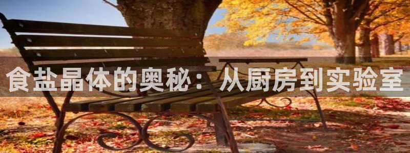 威九国际官网版