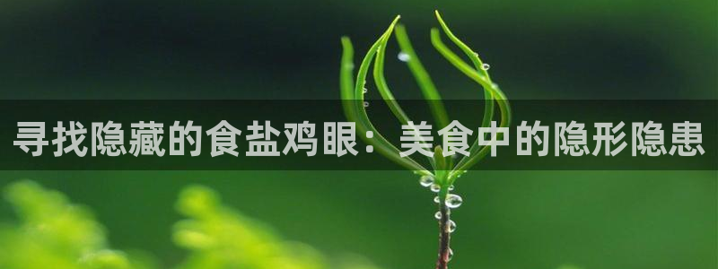 威九国际第一页