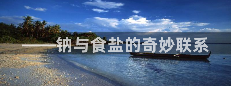 威九国际旗下艺人都有谁