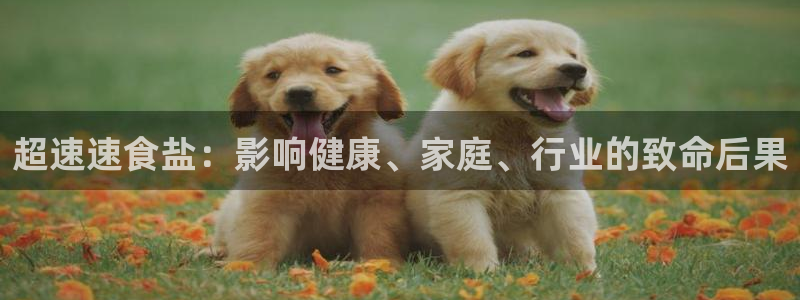 威九国际78mb游戏