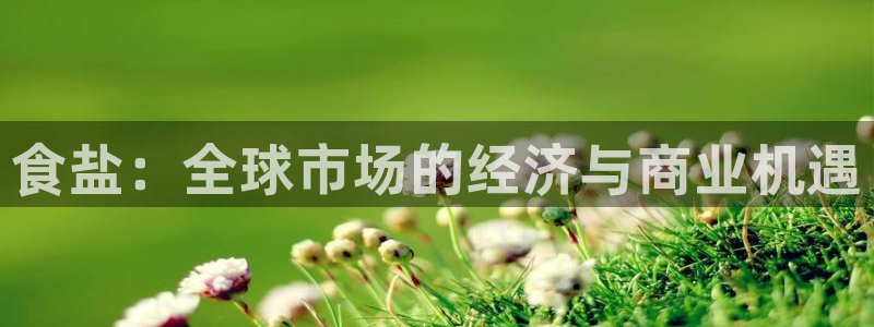 威九国际在线平台怎么样啊