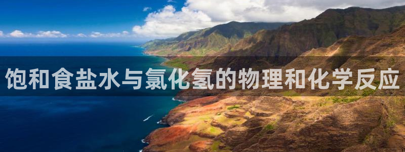 威九国际官方入口官网