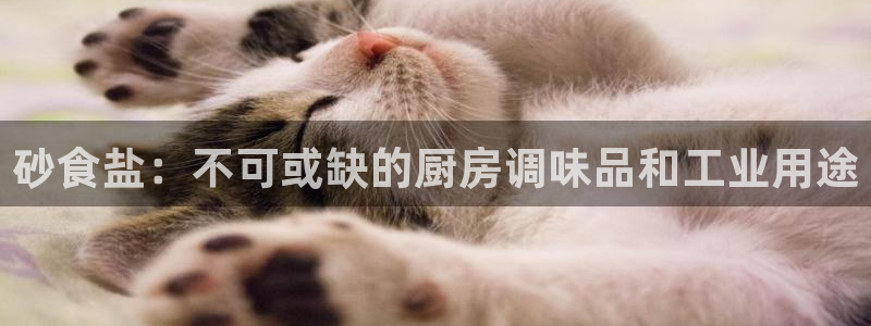 威九国际网站经常打不开