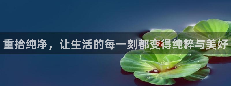 威九国际风情万种