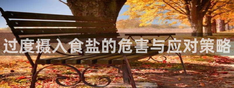 威九国际可以赚到钱