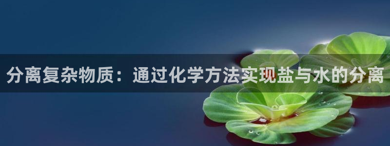 威九国际空降服务女演员叫什么名字