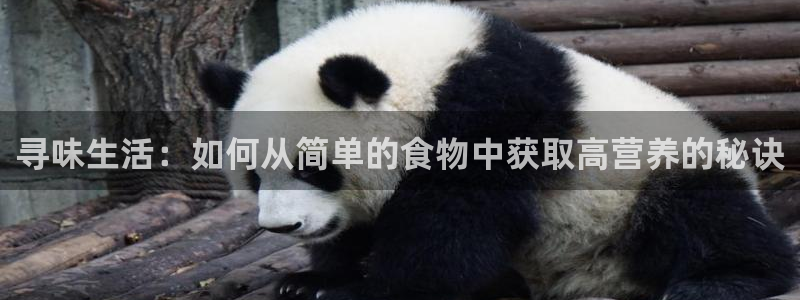 威九国际app网站