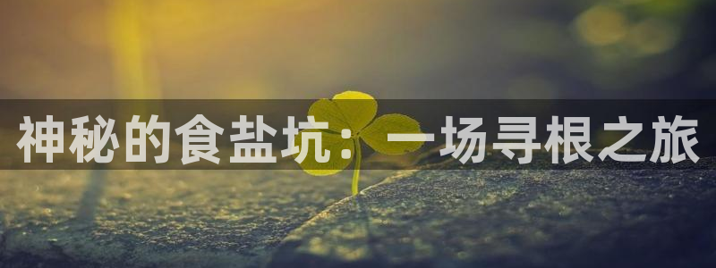 威九国际78m-MBA智库百科