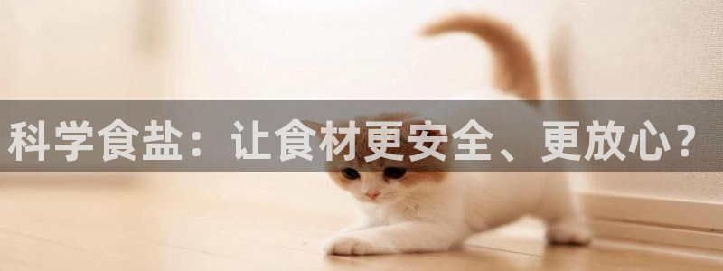 威九国际网站入口rdquo