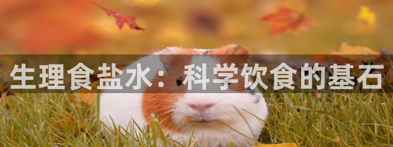 威九国际h5