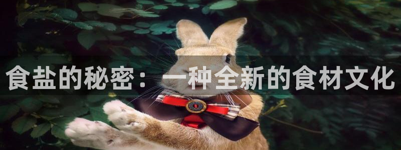 威九国际软件公司简介