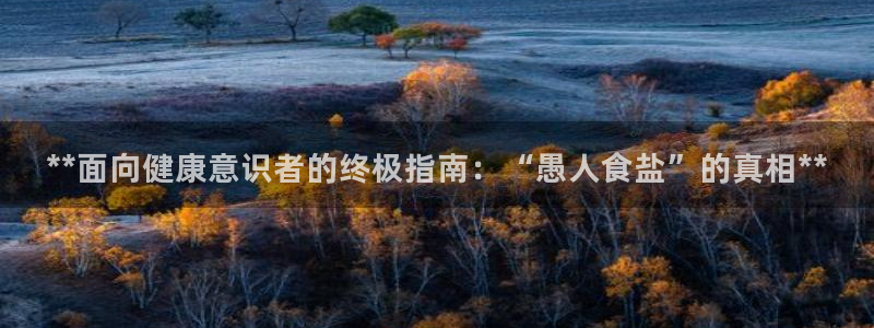 威九国际软件