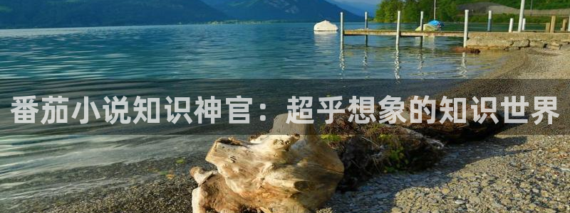 笔趣阁全本小说手机版